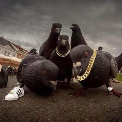 buggin & thuggin (w/ OriginalGangsterThugRapper)