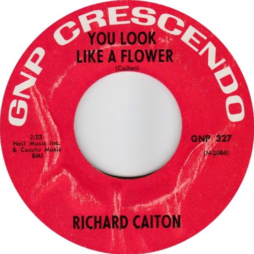Stream Richard CaitonYou look like a flower by Oldies 4 Ever 2