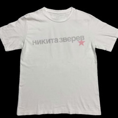 никита зверев
