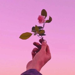 New Day
