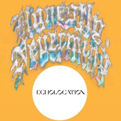 Drake - Down Hill (Echolocation Remix)
