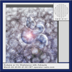 Ecdysis 10 b2b ZOBAYDA