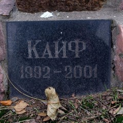 круті пісенькі