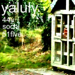 fake (44y sochi 51five)