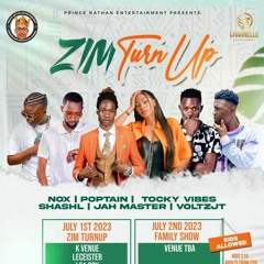 Zim Turn Up Mix