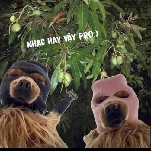 ĐẮM CHÌM  / 沦陷 - JUGGSHOTS ( THAZH X DONG REMIX )