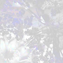 White Lie (Prod. Xxgee)