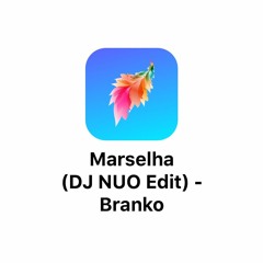 Branko - Marselha (DJ NUO Edit) preview - PATREON for Full Version