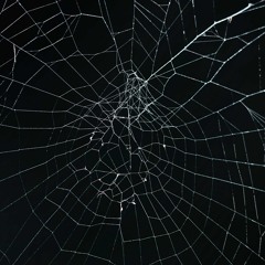 R I N G M A S T A prod. GLXTCH_WIFI