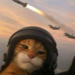 Signal Detected