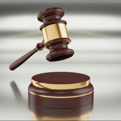 How to Read Auction Terms and Conditions?