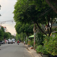 Gió Nổi Lên Rồi  - Châu Thâm