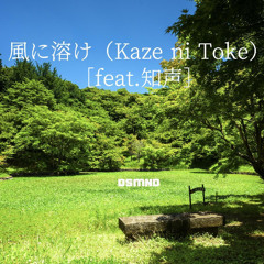 DSMND - 風に溶け（Kaze ni Toke）［feat. 知声］