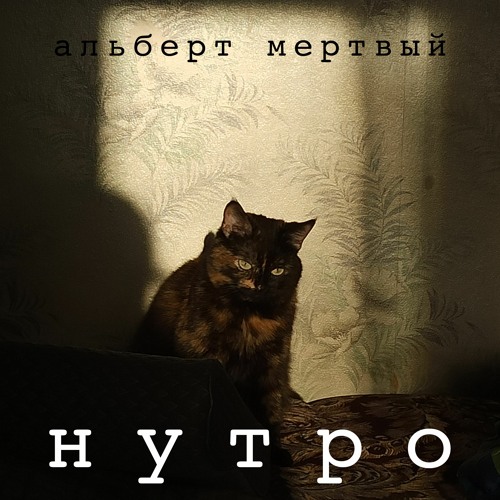 Что будет дальше