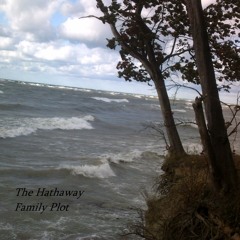 A Flower Blooms In Complete Darkness