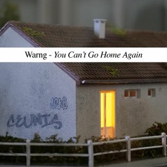 You Can't Go Home Again