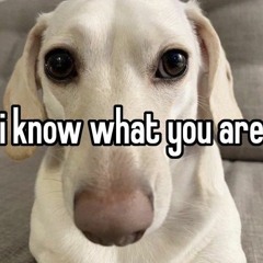 bitchboy - sped up/nightcore - the oozes