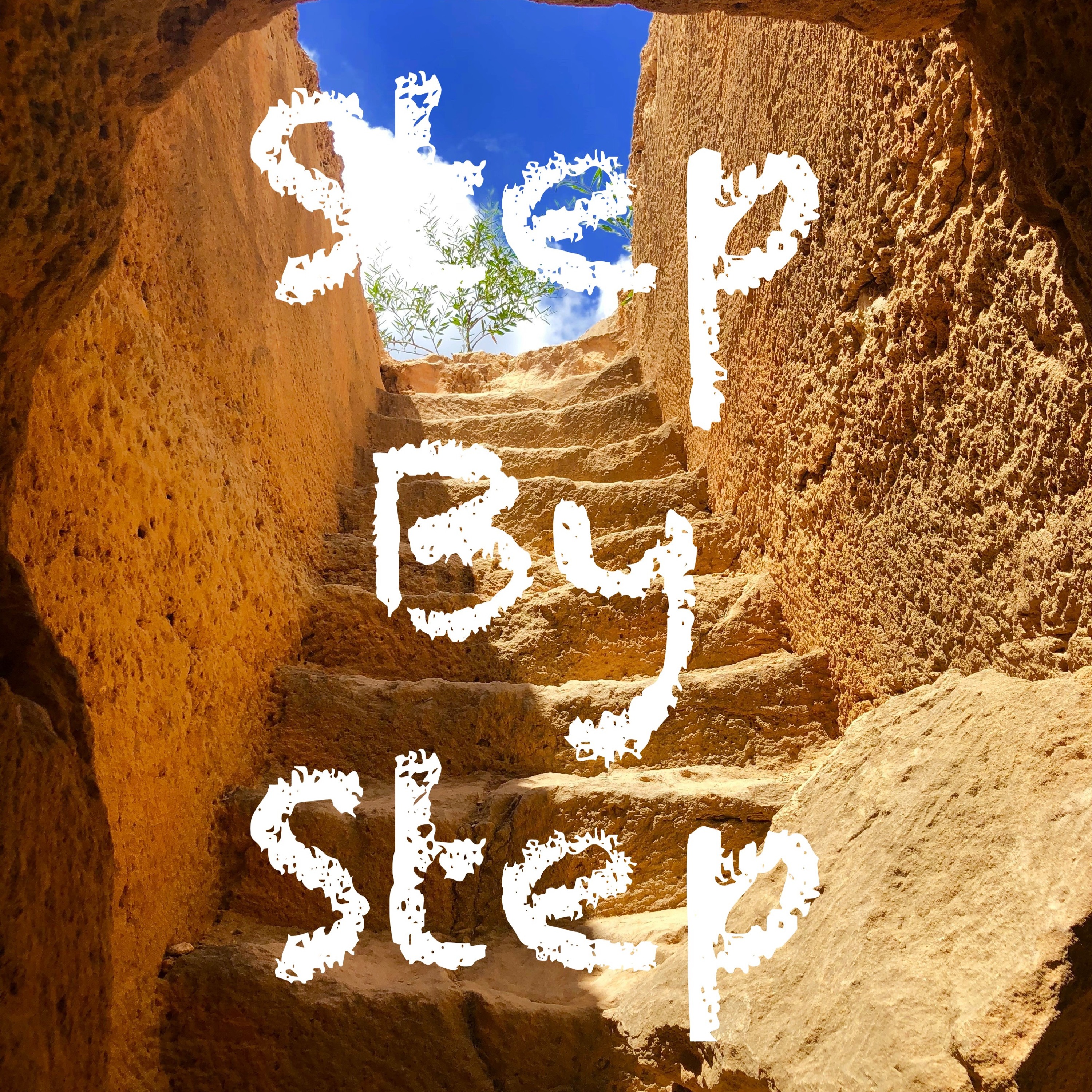 Step By Step episode artwork