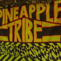 SWIPE THA FUNK  (JG50) - DreadyGlenn  PineappleTribe Sound System