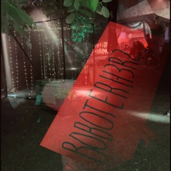 R0BOTERH3RZ @ Ritual - Sektor Evolution