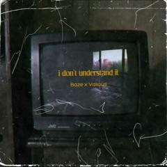 i don't understand it // Valious x Baze