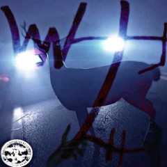 (AKOGE x 666HOULZ MIX) DE*R IN THE HEADLIGHTS (PROD. LVGV x QUILL)