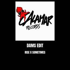 Leon FR - Rise x Sometimes ( DAMS EDIT )
