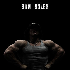 Sam Sulek x Snowfall (edit 13)