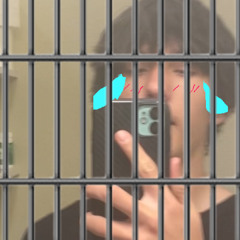 free nived: the song!