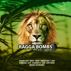 RAGGA BOMBS - Special Mix Vol.7 (Mixed By OKey)