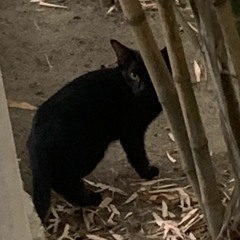 i dont wanna get up, but i want you