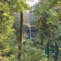 Hiperact - Make The Leaves (Producer Royale Round 1)