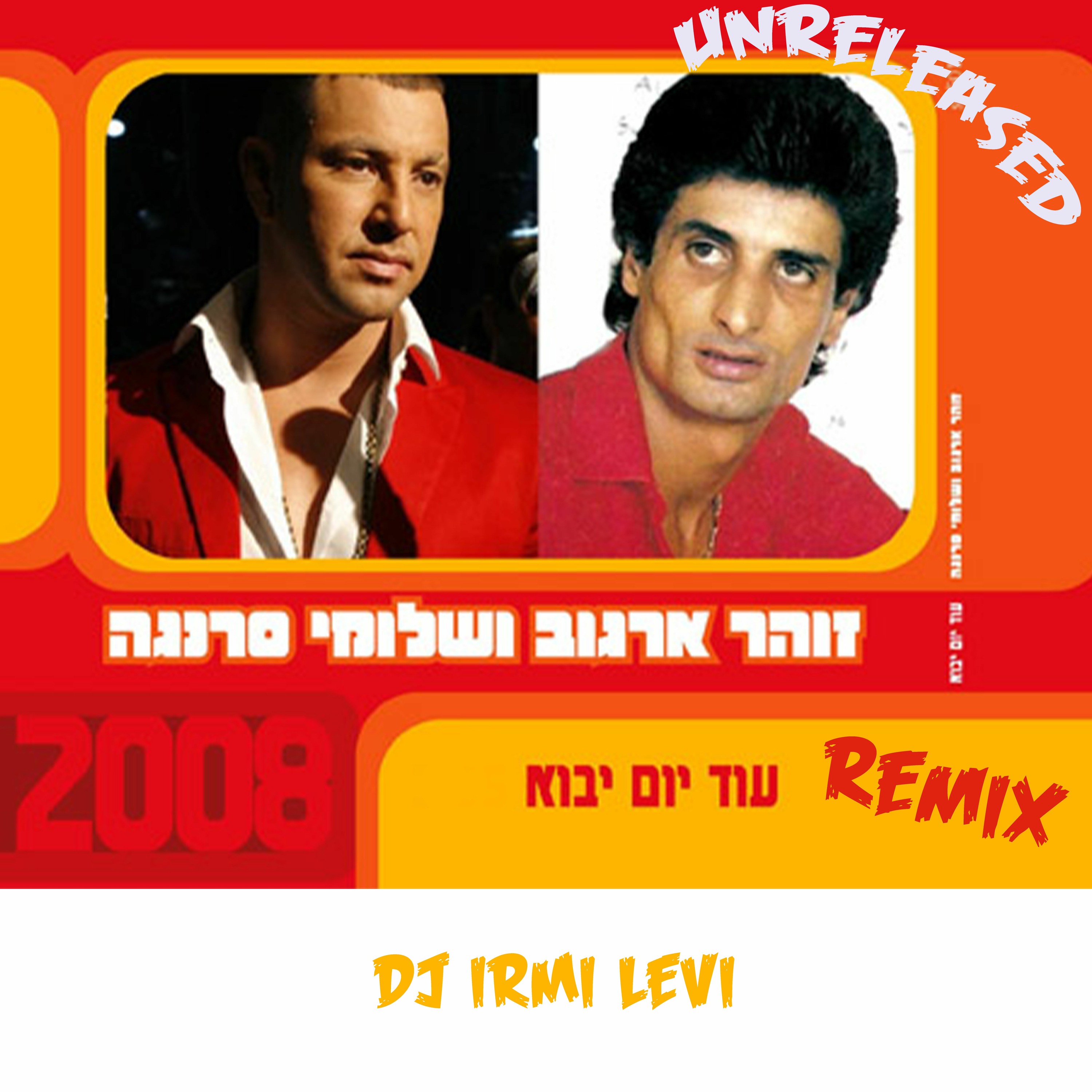 Irmi Levi