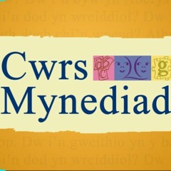 CWRS MYNEDIAD UNED 15.mp3
