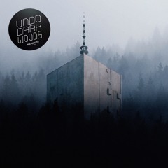 Premiere: Undo - Footprintz On Mars [Factor City]