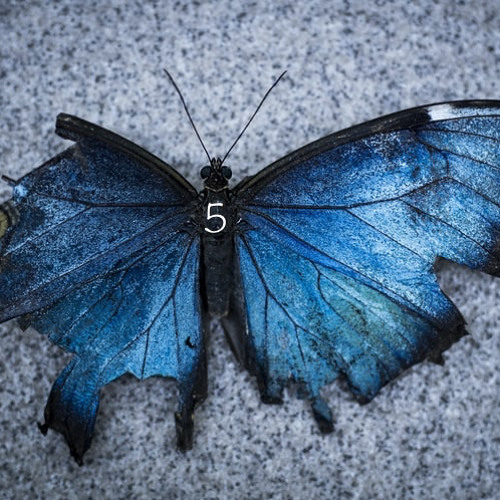 🦋Ulysses - AFTER 5, Afterlife Inspired Mix (06 - 2020)