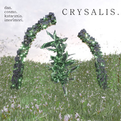 CRYSALIS.
