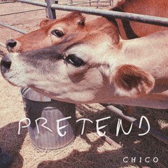 Pretend
