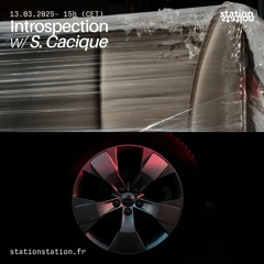 Introspection #66