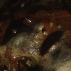 THE TRUTH Will BE- 2 HARD TO TAKE MIX