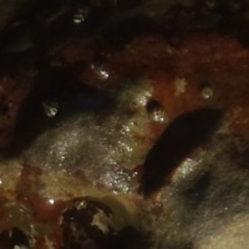 THE TRUTH Will BE- 2 HARD TO TAKE MIX