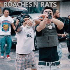 ROACHES AND RATS