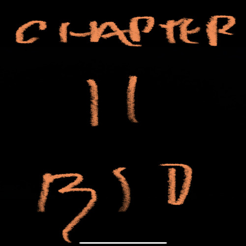 Chapter 11