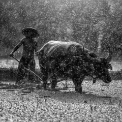 The Secret To Self Realization