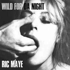 Busta Rhymes and Rampage - Wild For Da Night - Ric Maye Remix