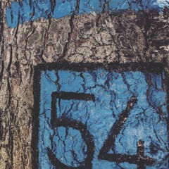 APPROXIMATELY 54 (by Thamel)