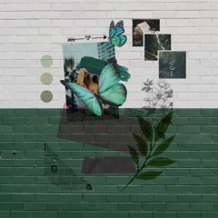 Wild (Butterfly)