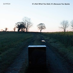 DJ Pitch - It's Not What You Said, It's Because You Spoke (EA012)