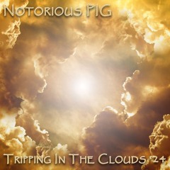 Notorious PIG Tripping in the Clouds '24