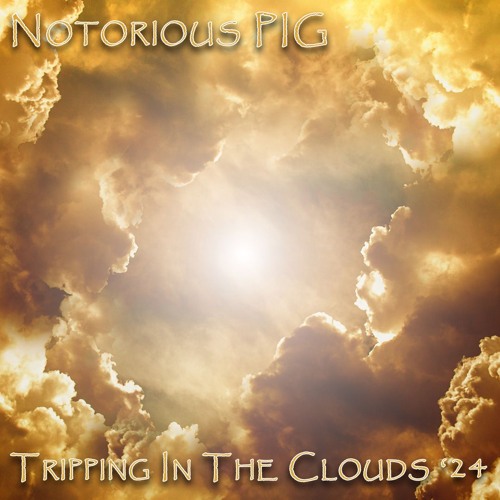 Notorious PIG Tripping in the Clouds '24
